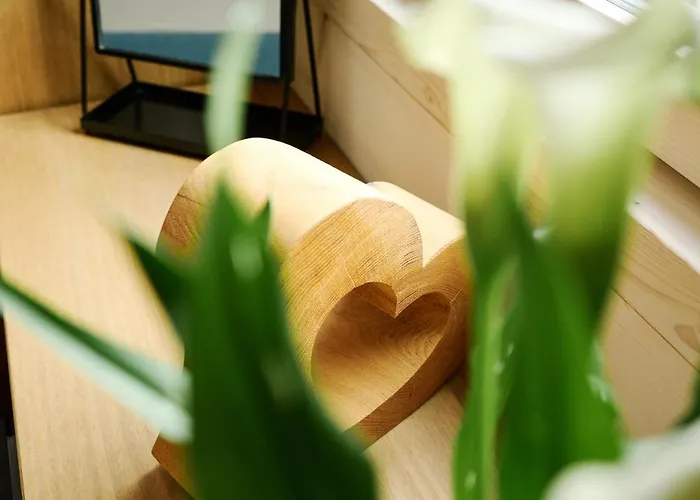 Holzgenuss 公寓